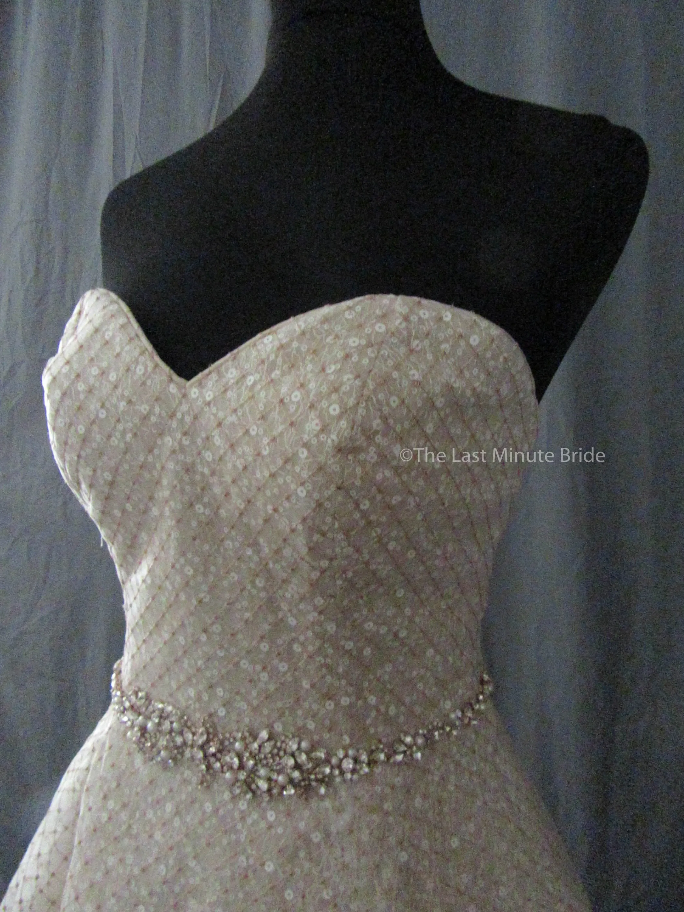 Sottero & Midgley Style Magdalyn 8SC721