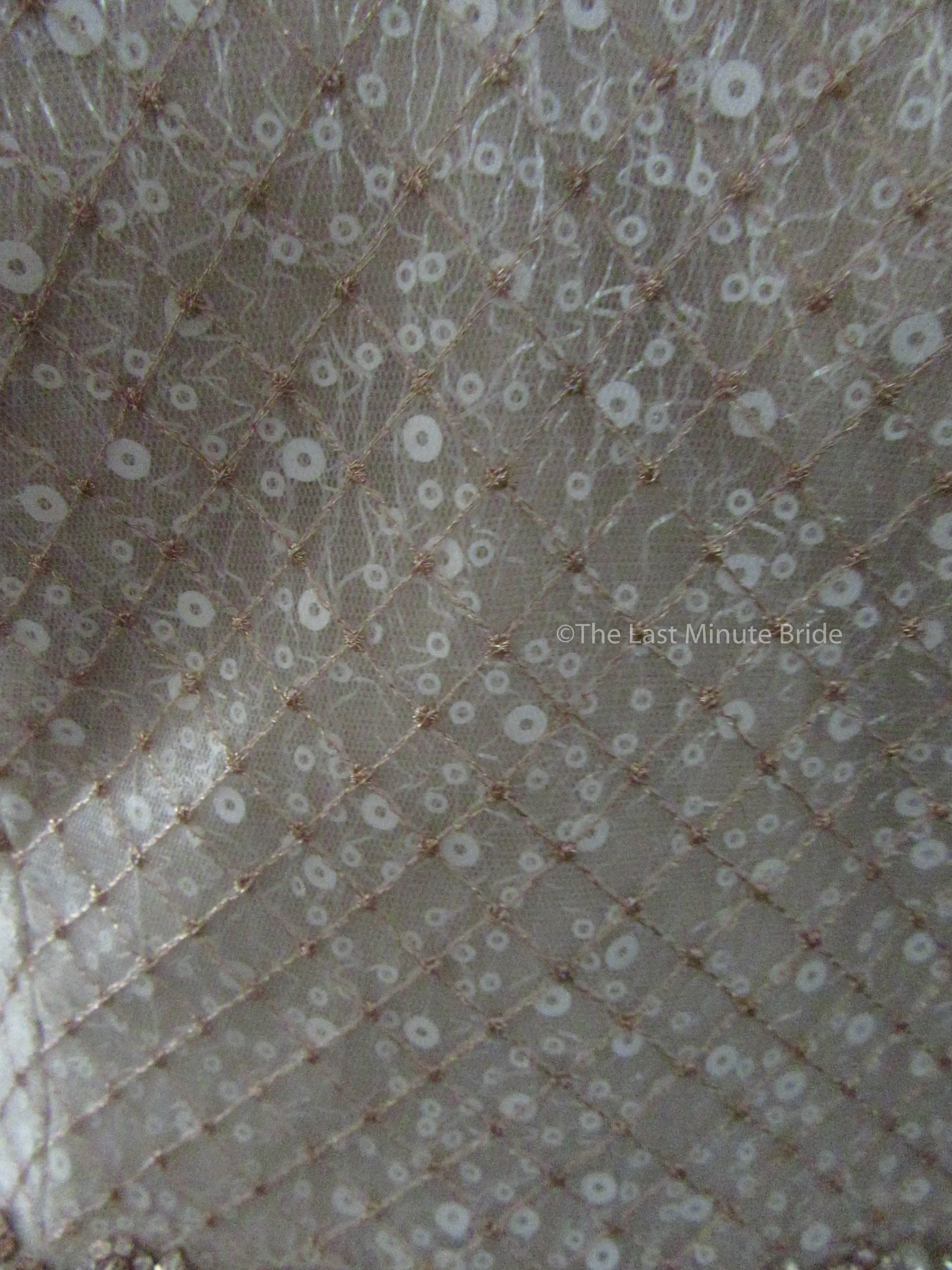 Sottero & Midgley Style Magdalyn 8SC721
