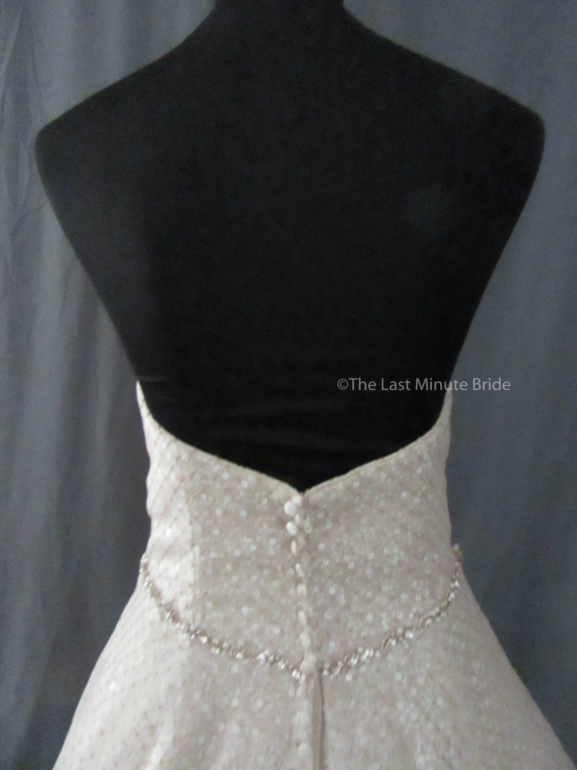 Sottero & Midgley Style Magdalyn 8SC721