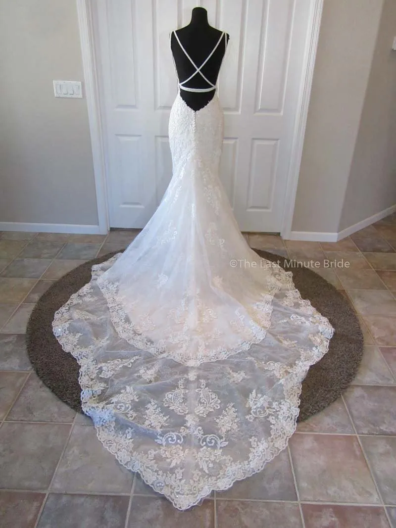 Sottero & Midgley Style Sullivan Rose 8SS793LT