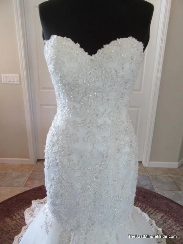 Stella York 5837