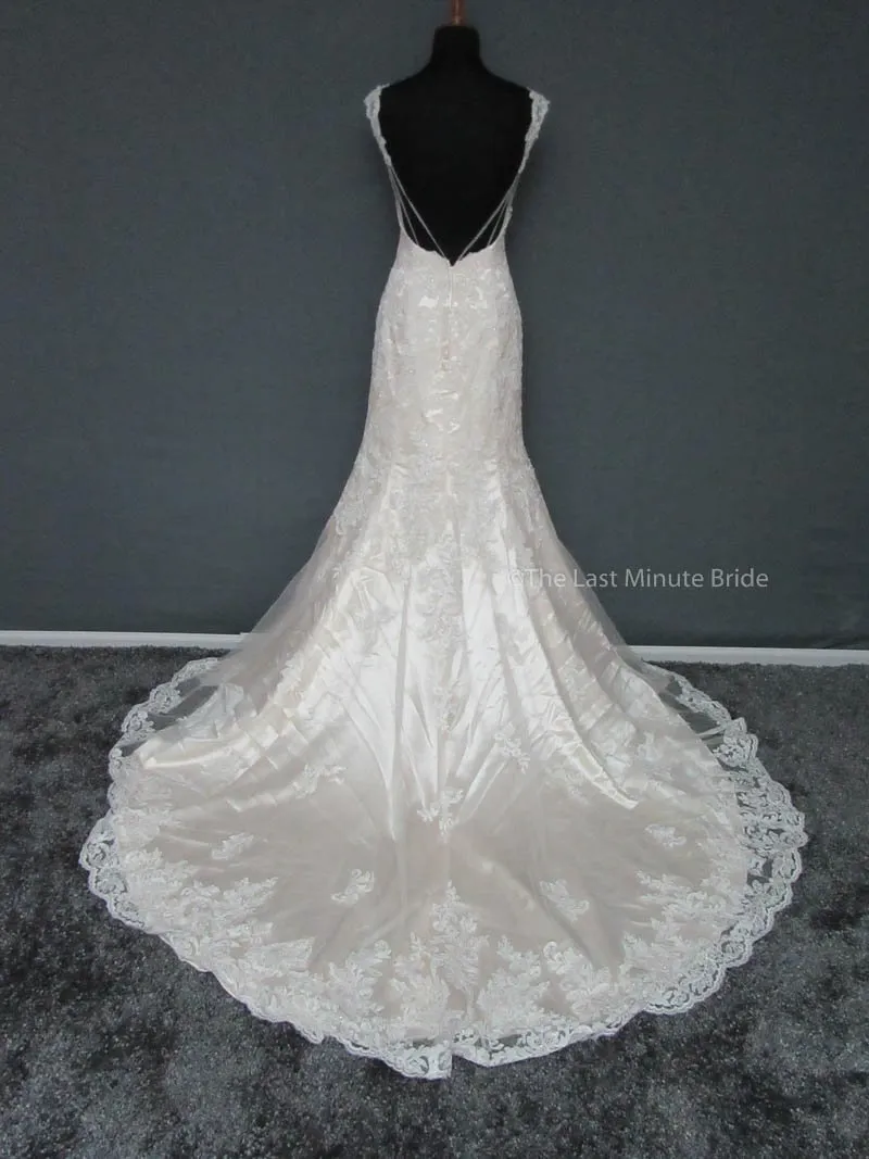Stella York 6064