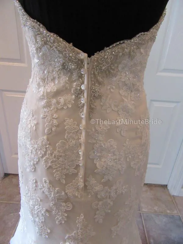 Stella York 6119