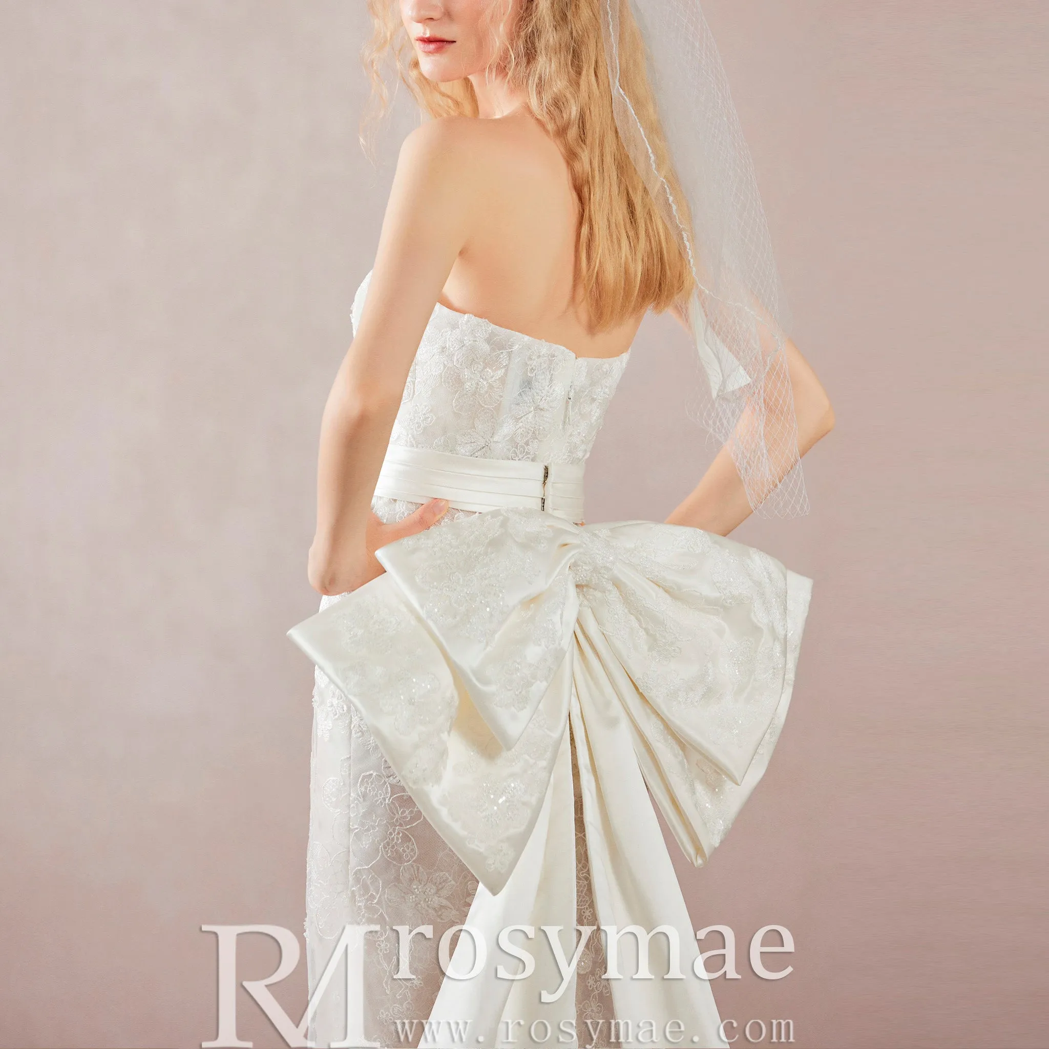 Strapless Sheath & Column All-over Lace Wedding Dress