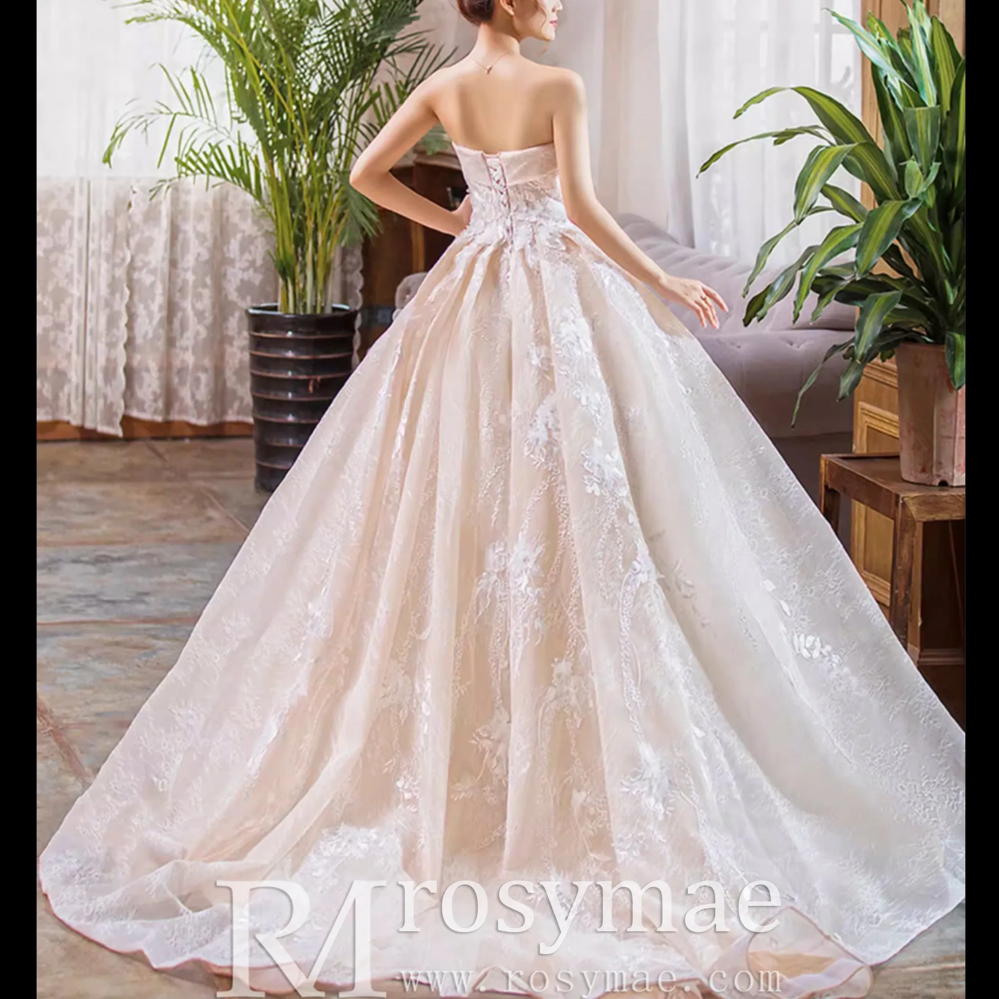 Strapless Tulle Lace Ball Gown Wedding Dress with Straight Neckline