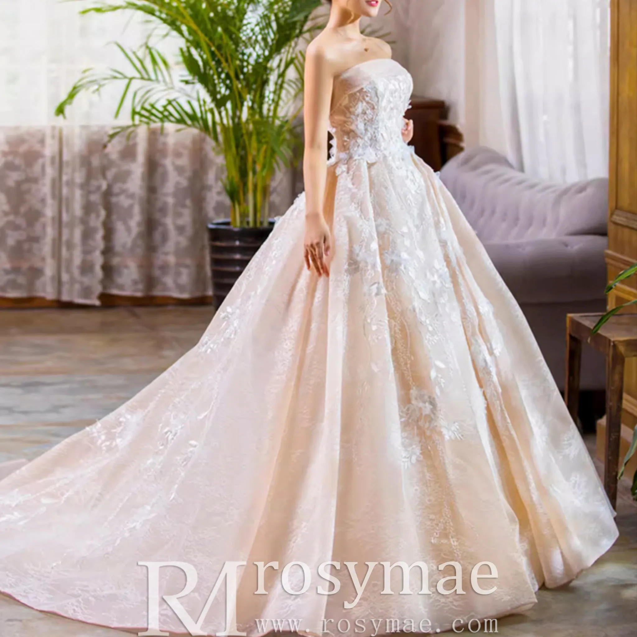 Strapless Tulle Lace Ball Gown Wedding Dress with Straight Neckline