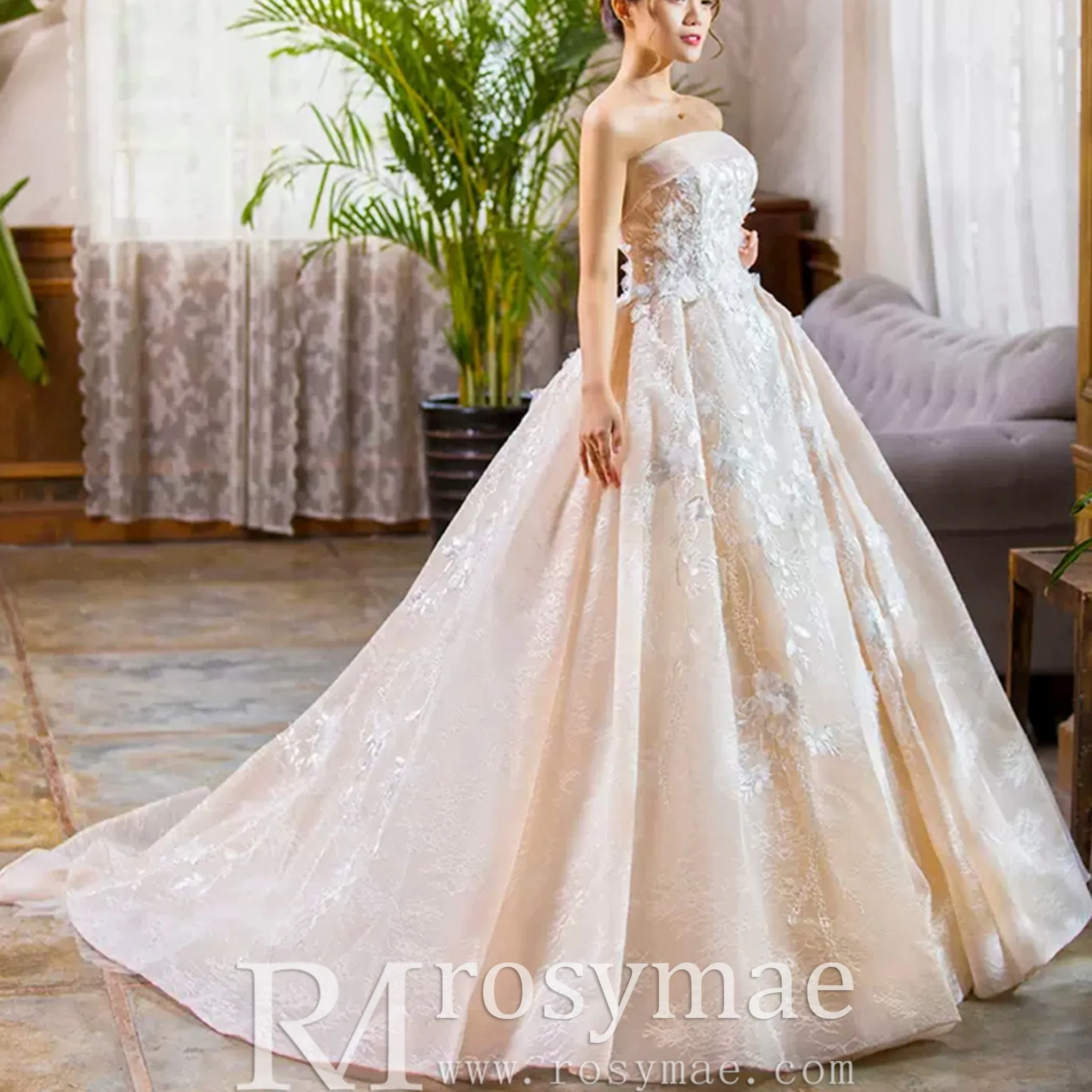 Strapless Tulle Lace Ball Gown Wedding Dress with Straight Neckline
