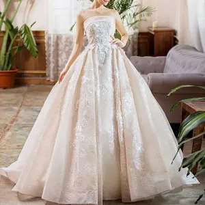 Strapless Tulle Lace Ball Gown Wedding Dress with Straight Neckline