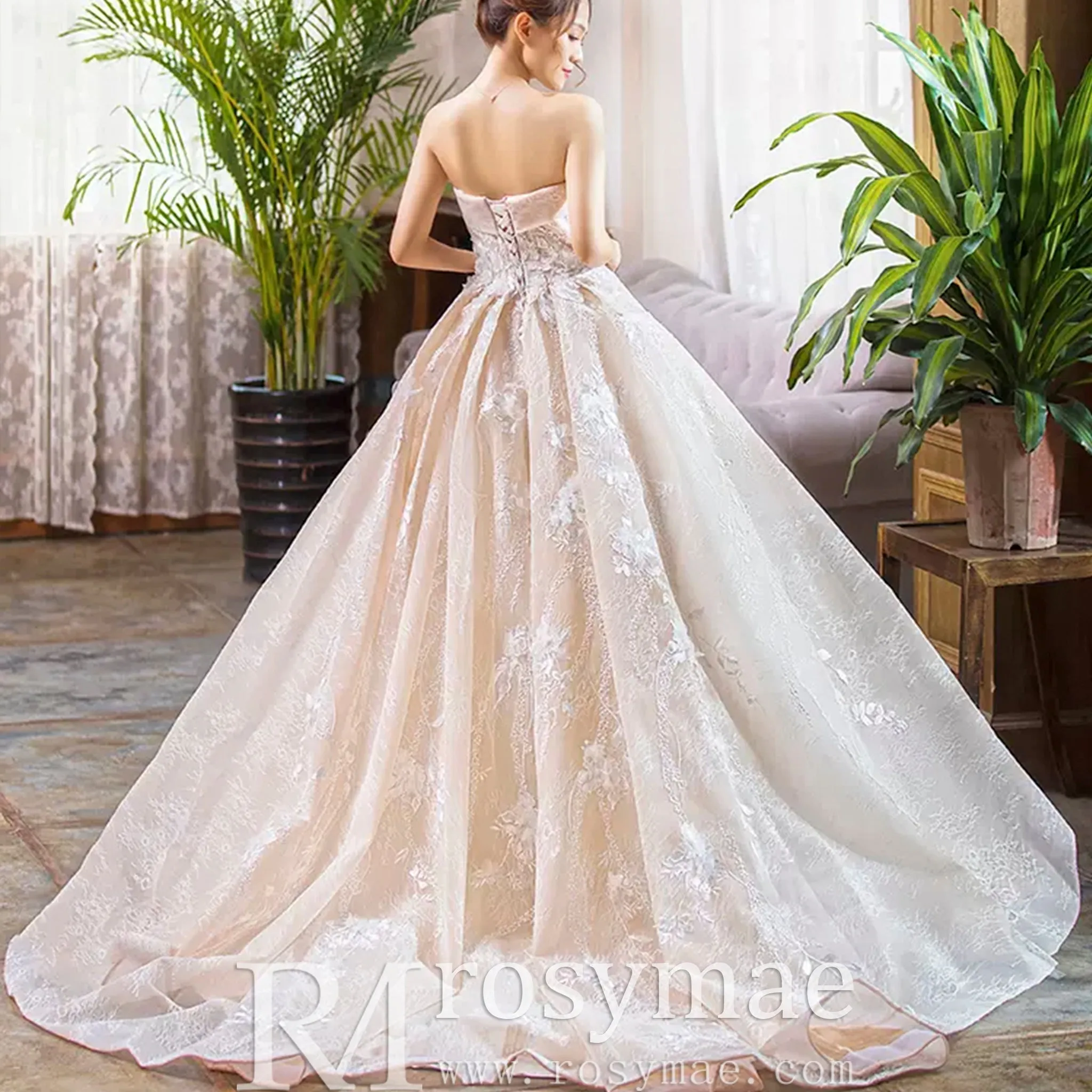 Strapless Tulle Lace Ball Gown Wedding Dress with Straight Neckline