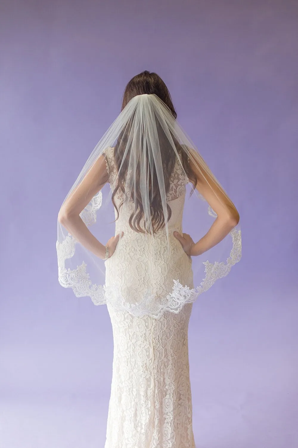 The Elizabeth - Sequined Lace Veil