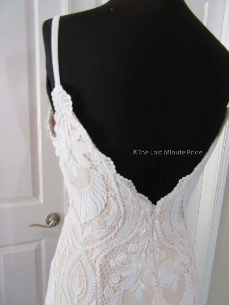 The Last Minute Bride Ambrosia (In Stock Sizes)