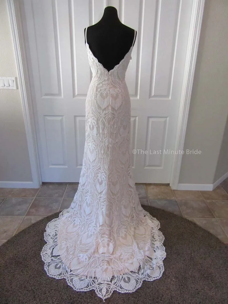 The Last Minute Bride Ambrosia (In Stock Sizes)