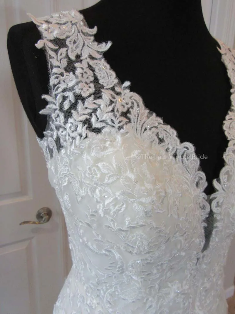 The Last Minute Bride Isabella (In Stock Sizes)
