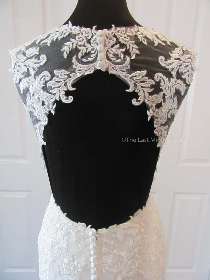 The Last Minute Bride Isabella (In Stock Sizes)