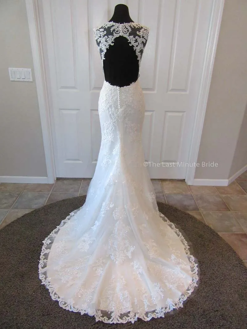 The Last Minute Bride Isabella (In Stock Sizes)