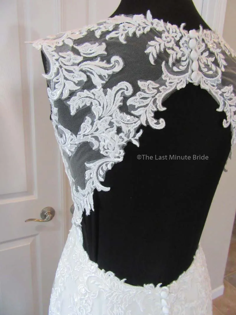 The Last Minute Bride Isabella (In Stock Sizes)