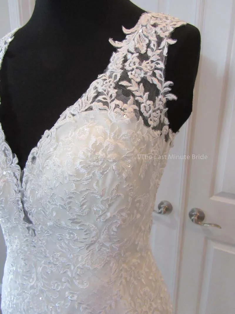 The Last Minute Bride Isabella (In Stock Sizes)
