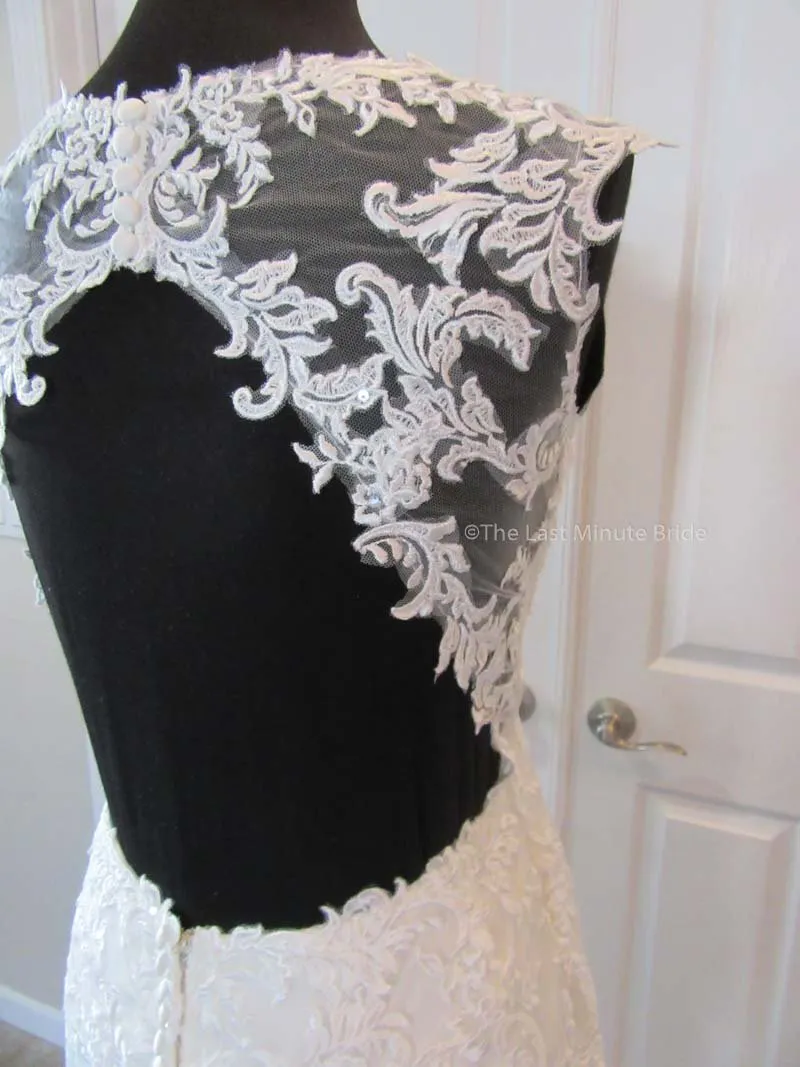 The Last Minute Bride Isabella (In Stock Sizes)