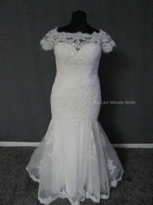 The Last Minute Bride Teagan