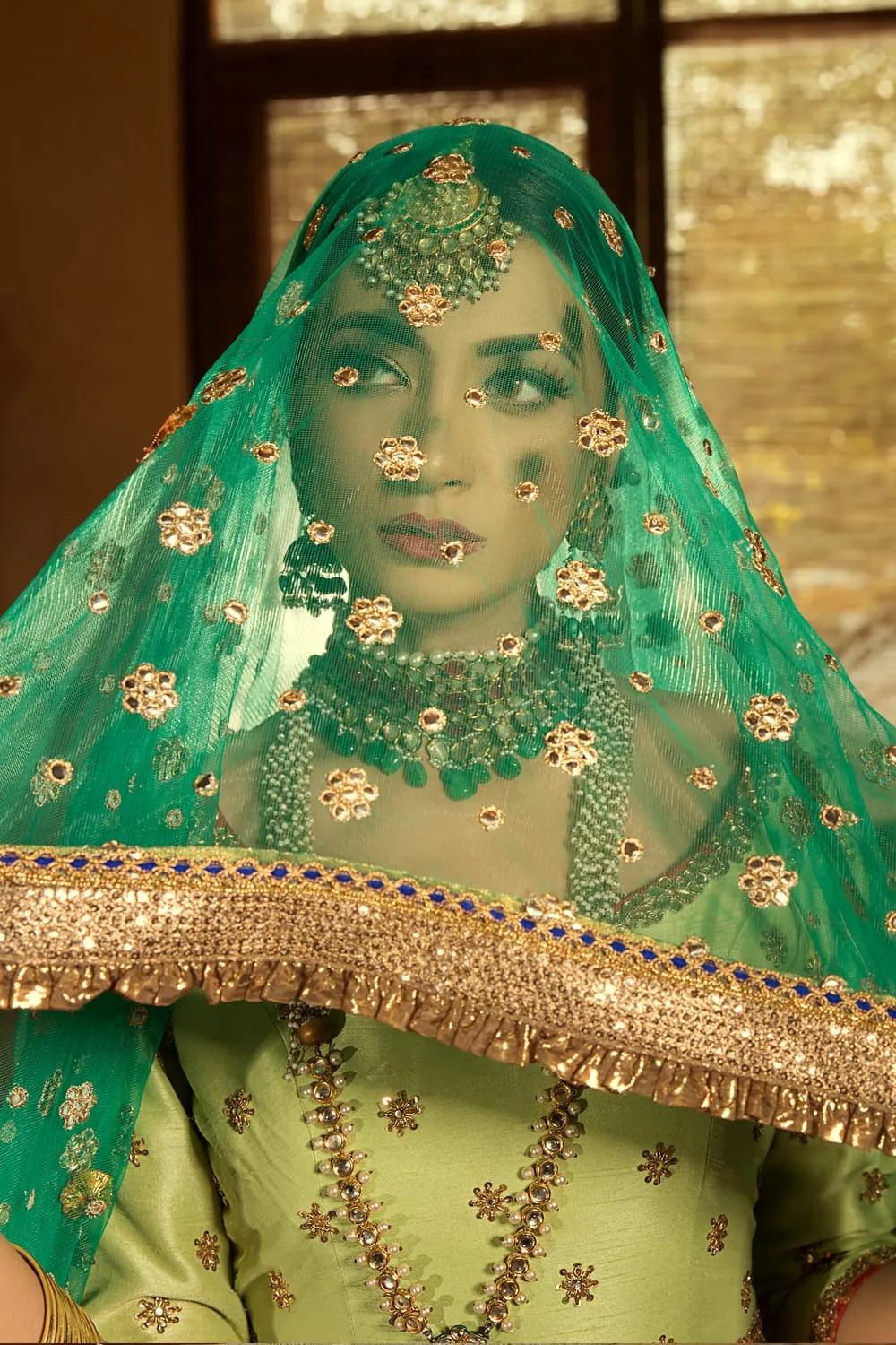 Traditional Mehndi Lehnga Choli in Pista Green Color #N7100
